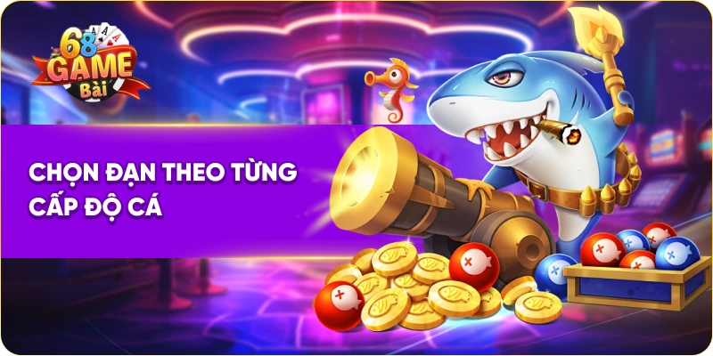 Chọn đạn theo từng cấp độ cá